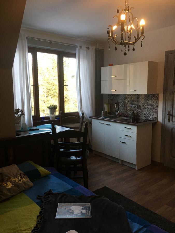 Загородные дома Apartamenty i pokoje u Staszelów Поронин